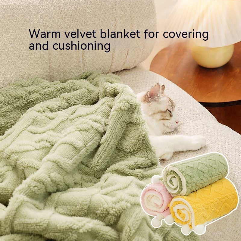 Envy & Co. Luxe Solid Pet Blanket