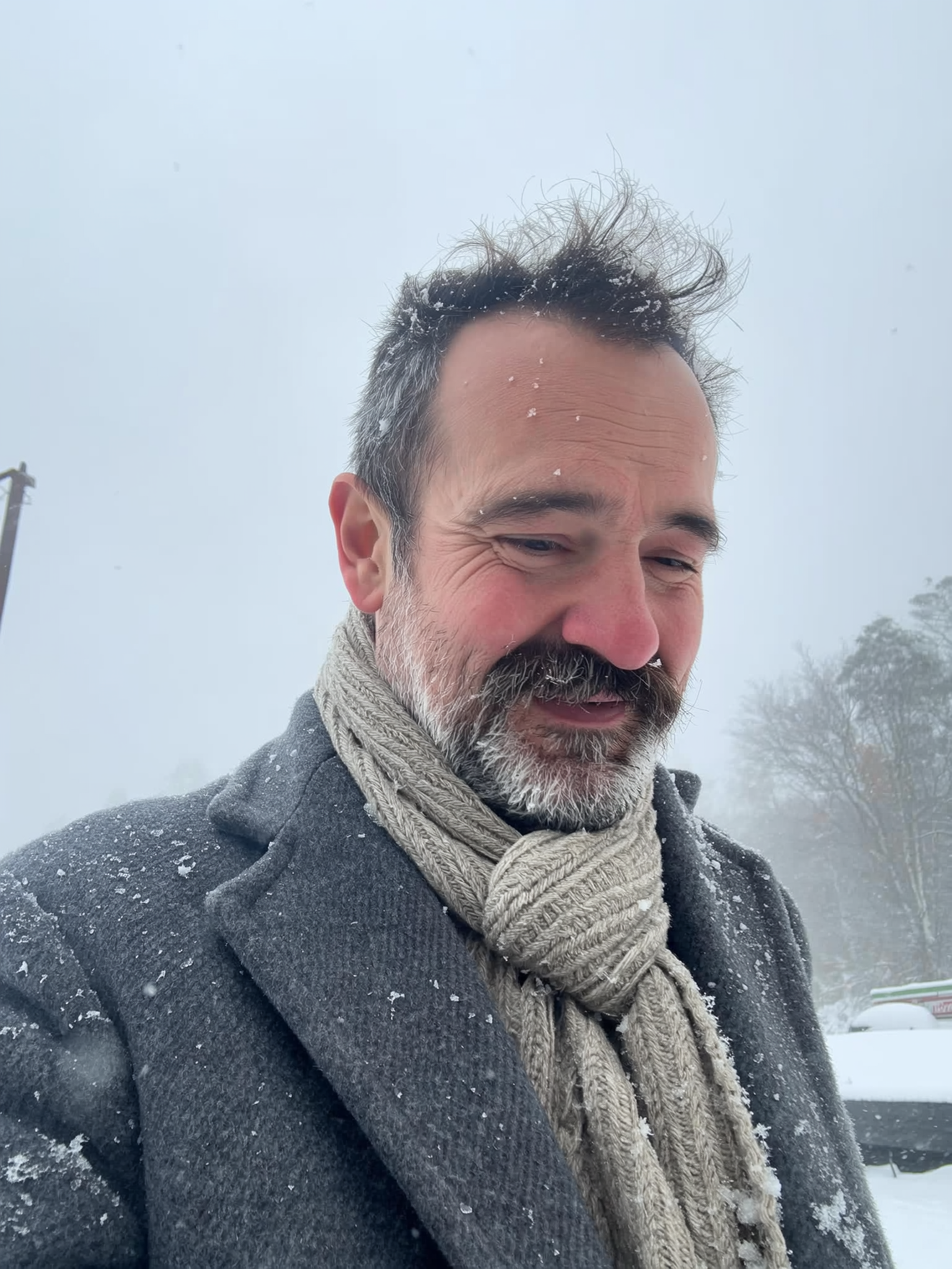 Customer avatar (Verified reviewer)